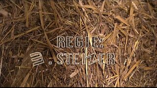 این Senne Lutschi