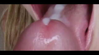 Ŀ�复：缓慢的催眠鸡拜师3