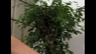 Metro - Gnéas Leispiacha - radharc 8 - sliocht 2